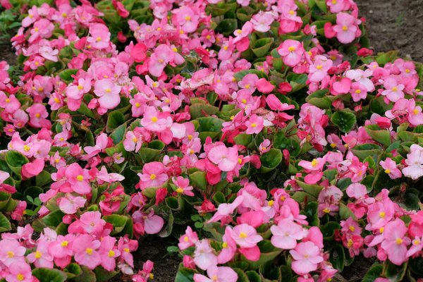 Comparez et souscrivez votre assurance maison en ligne en 15 minutes